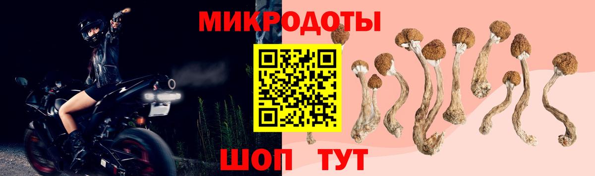 Кашира  Псилоцибиновые грибы MAGIC MUSHROOMS  Вход с VPN 